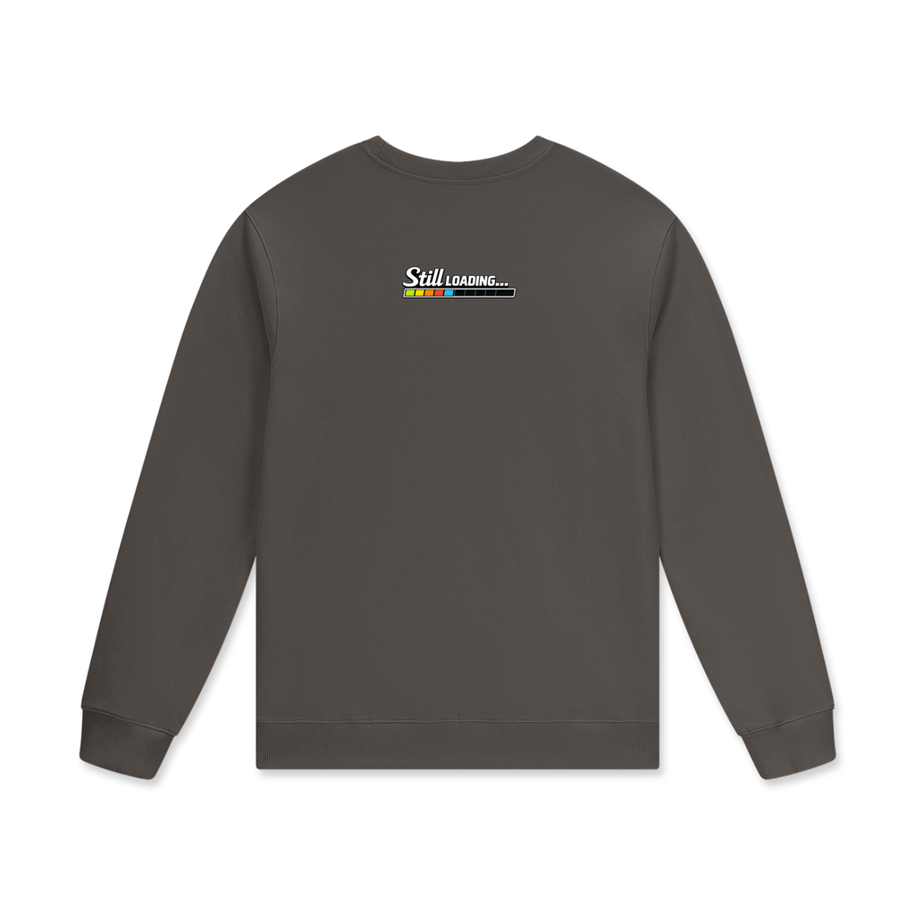 Dark gray sweatshirt with text and graphics on the back against a white background